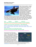 Killer Whales: Orcas Lesson 1
