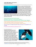 Serial Killer Whales: Orcas Lesson 2